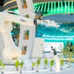 What to Expect When Commissioning a Stand From Top Companies